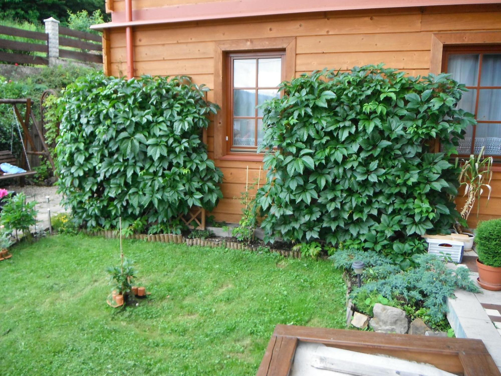 Dom Goscinny Dudek Krynica-Zdrój Exteriör bild