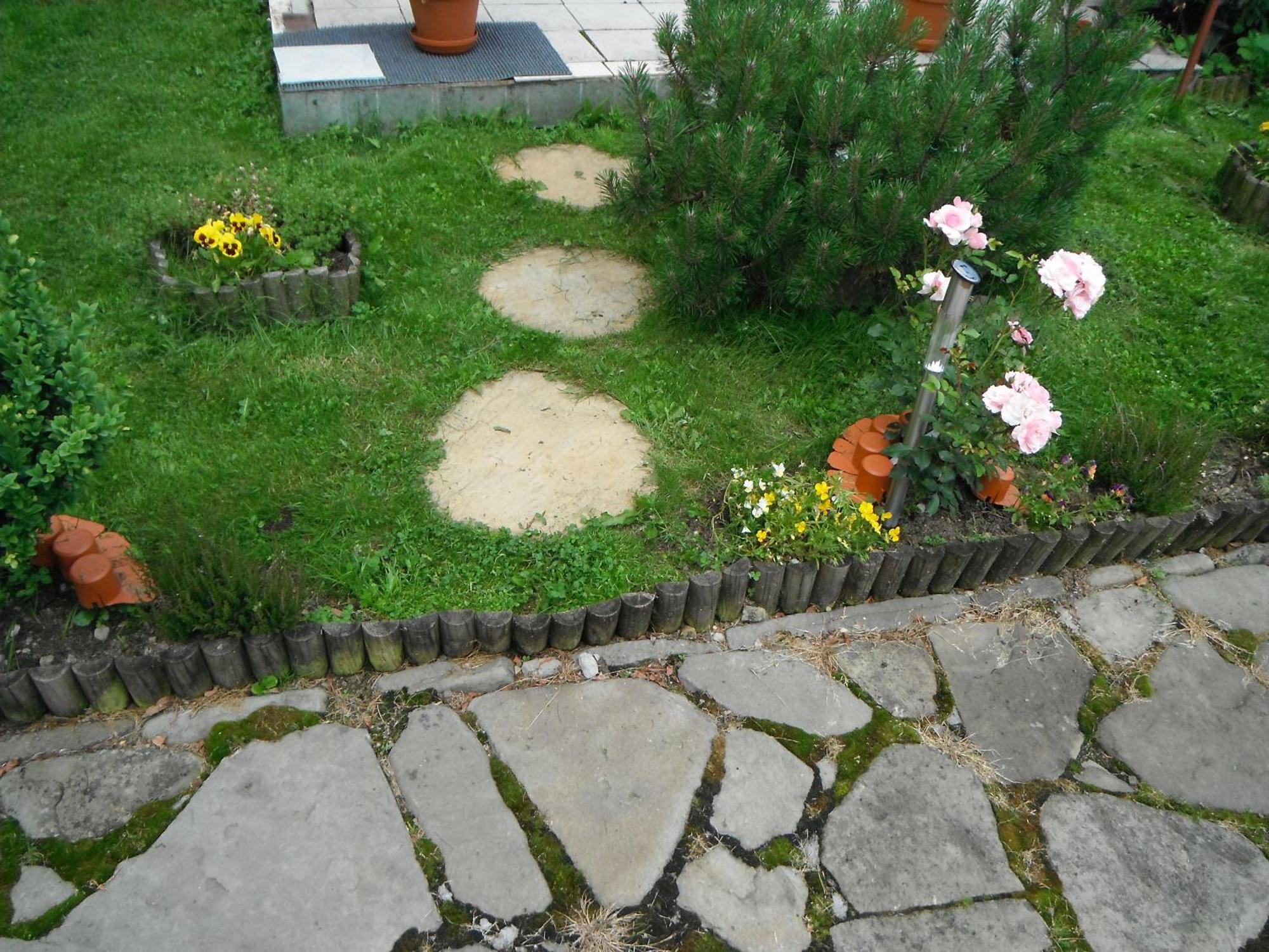 Dom Goscinny Dudek Krynica-Zdrój Exteriör bild