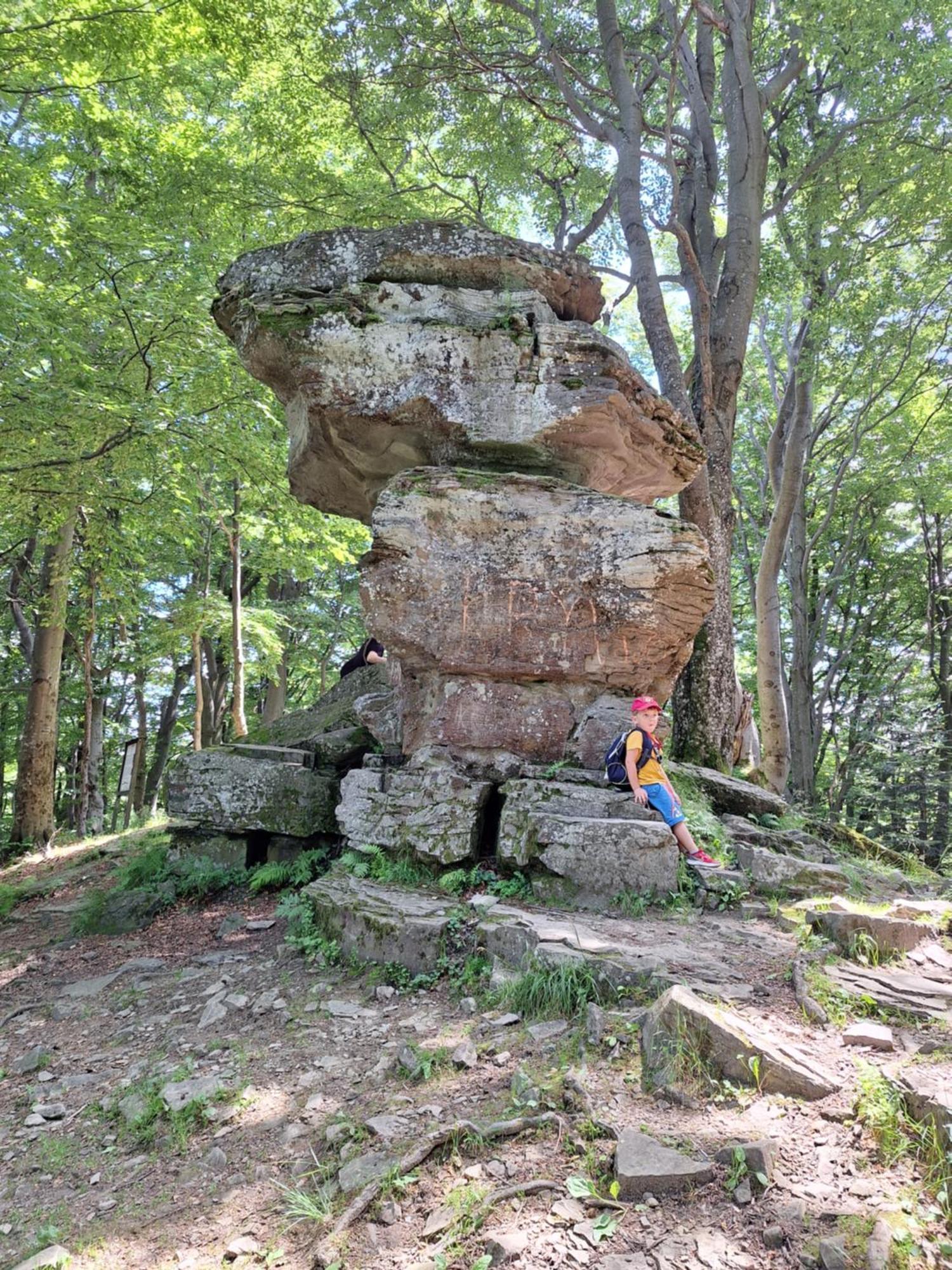 Dom Goscinny Dudek Krynica-Zdrój Exteriör bild