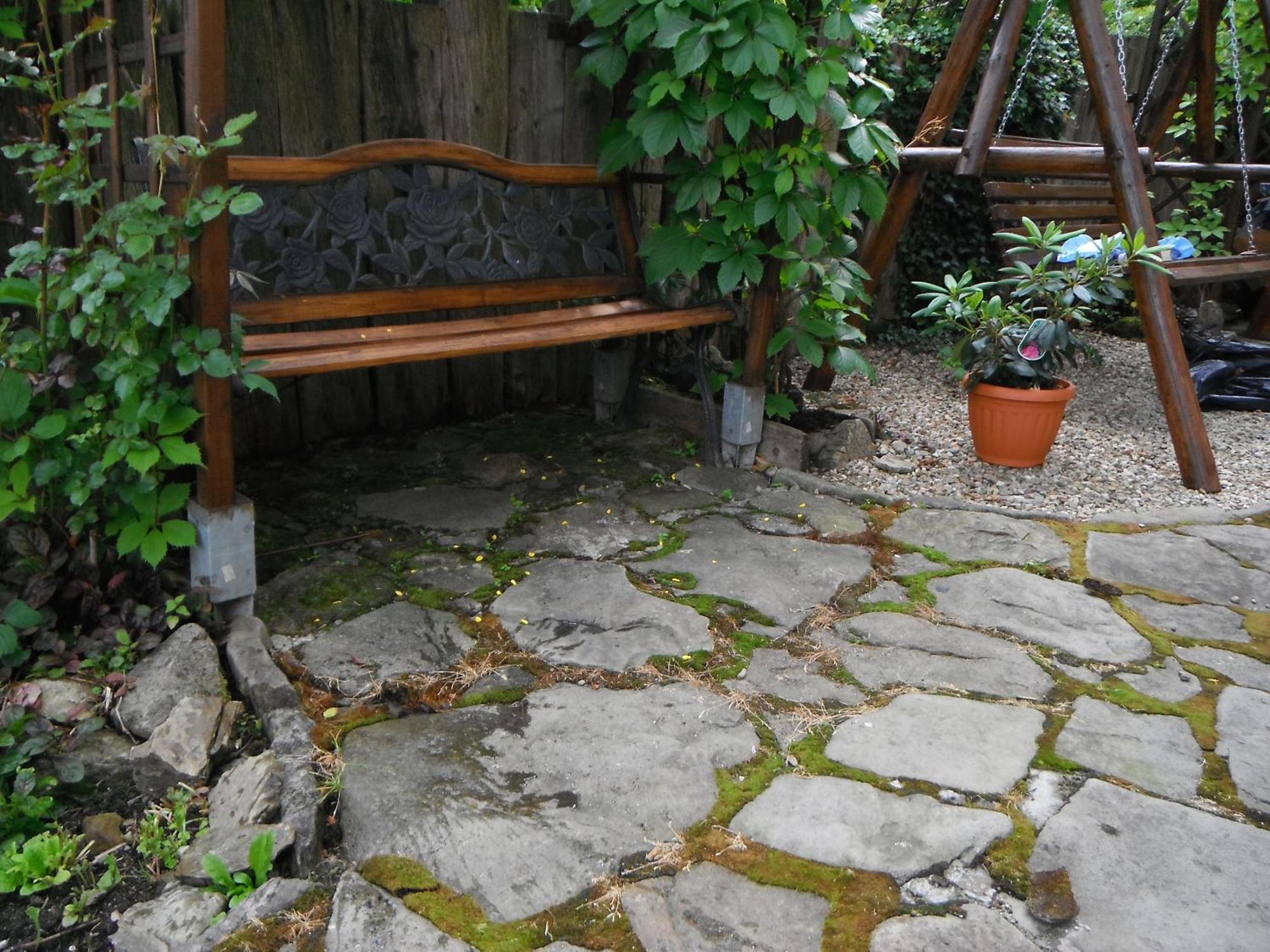 Dom Goscinny Dudek Krynica-Zdrój Exteriör bild